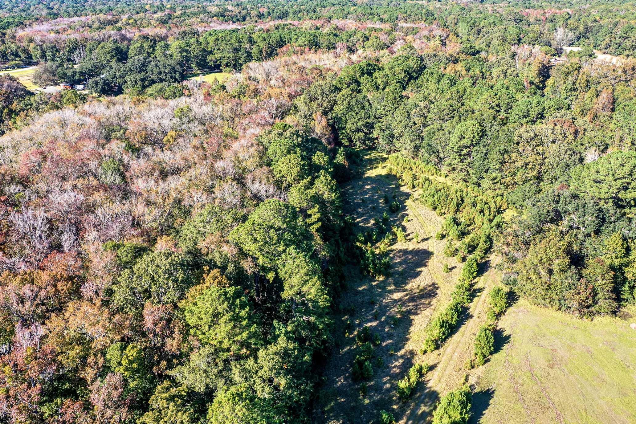 2418 Plow Ground Road Johns Island, SC 29455 - Photo 17 of 17 HFL_PLOW GROUND RD_30 ACRES-29
