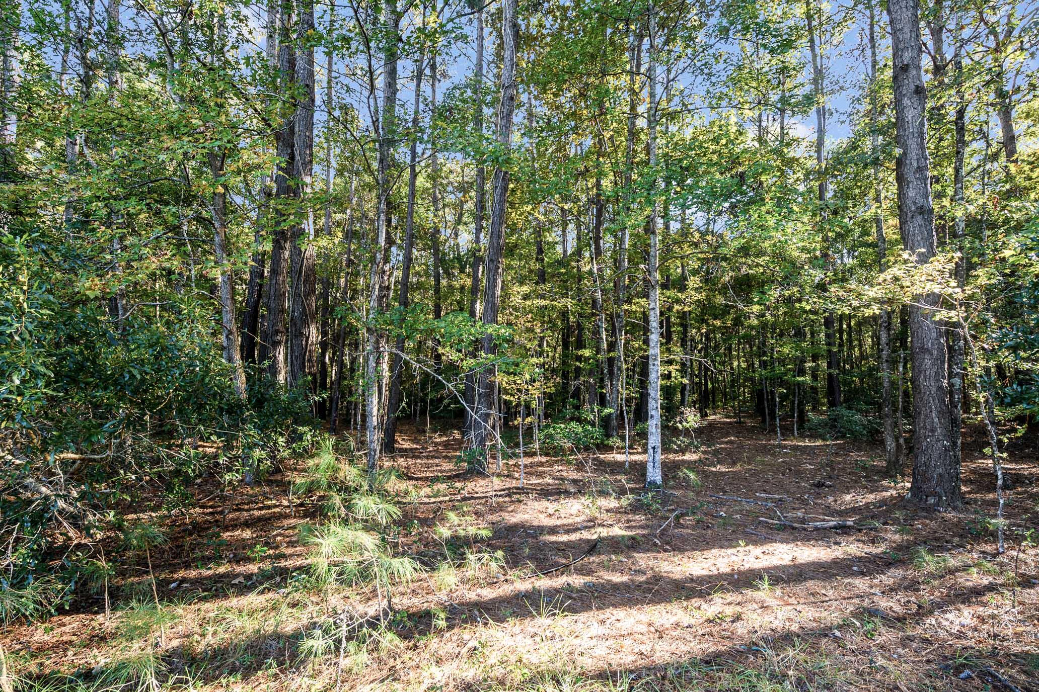 2418 Plow Ground Road Johns Island, SC 29455 - Photo 4 of 17 HFL_PLOW GROUND RD_30 ACRES-6