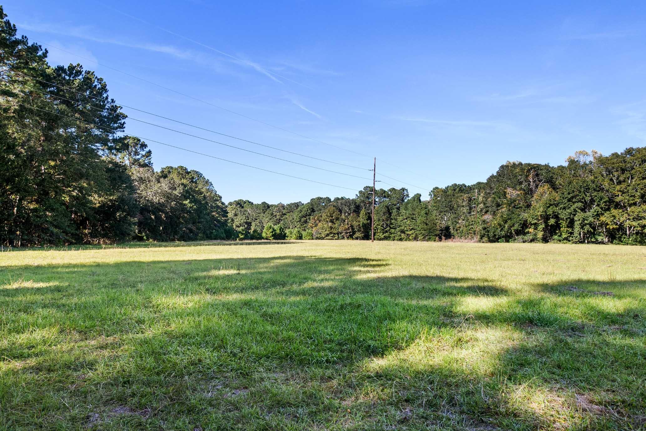 2418 Plow Ground Road Johns Island, SC 29455 - Photo 5 of 17 HFL_PLOW GROUND RD_30 ACRES-7