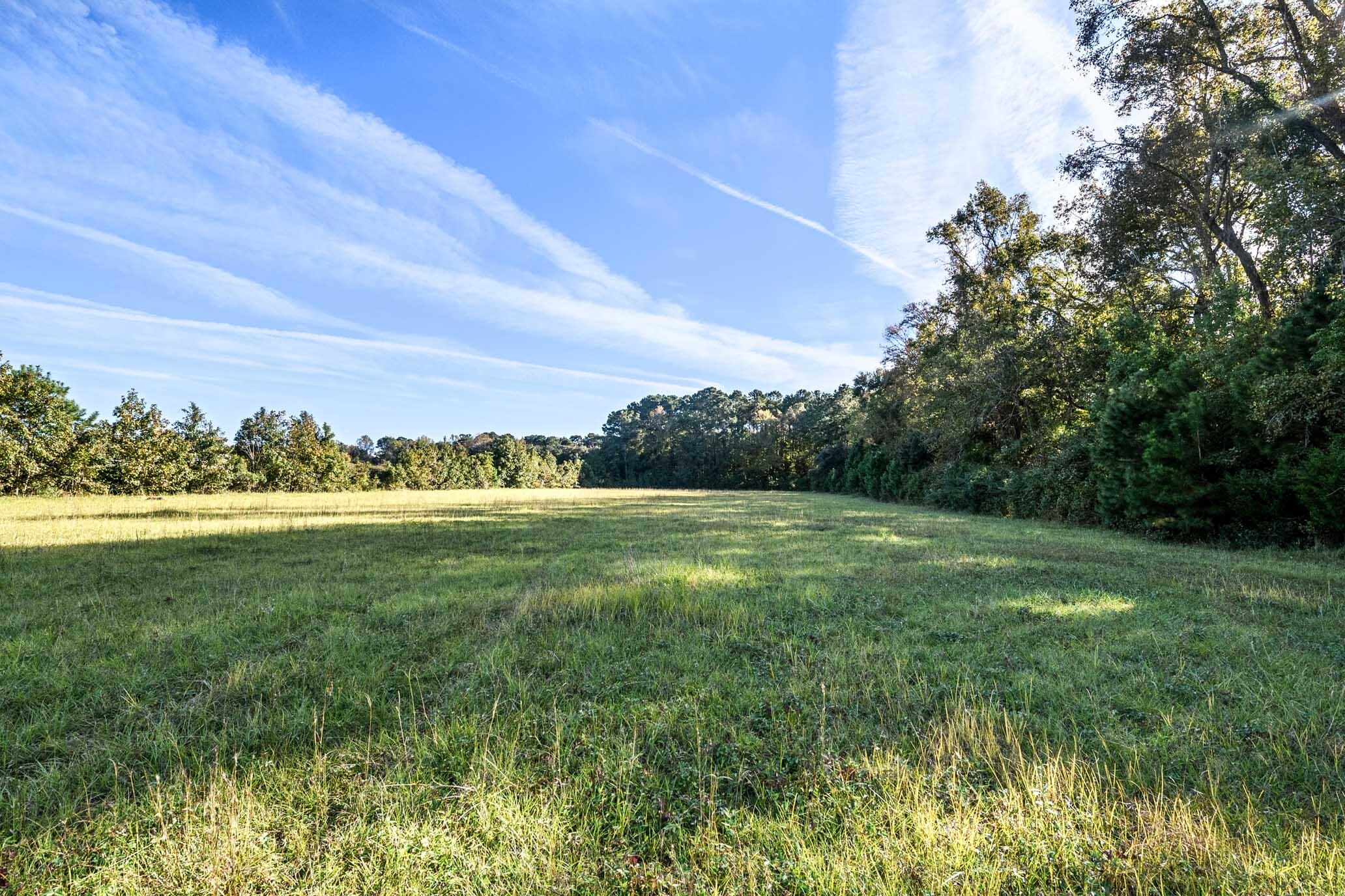 2418 Plow Ground Road Johns Island, SC 29455 - Photo 7 of 17 HFL_PLOW GROUND RD_30 ACRES-18
