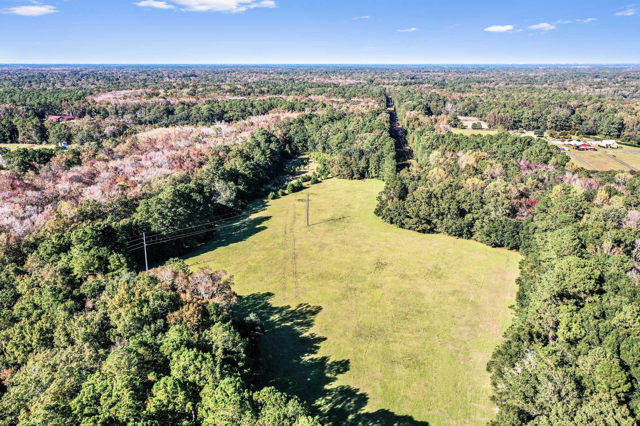 2418 Plow Ground Road Johns Island, SC 29455 - Photo 9 of 17 HFL_PLOW GROUND RD_30 ACRES-20
