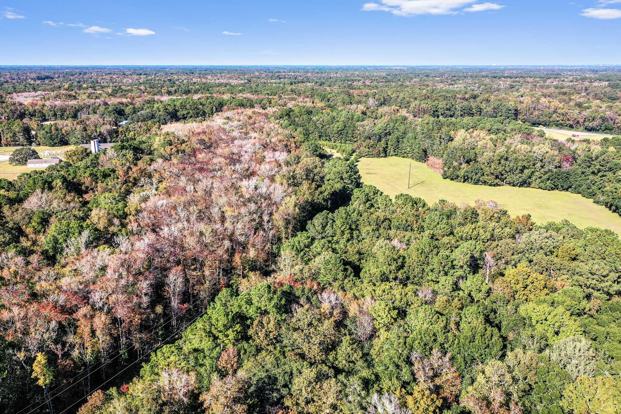 2418 Plow Ground Road Johns Island, SC 29455 - Photo 10 of 17 HFL_PLOW GROUND RD_30 ACRES-21