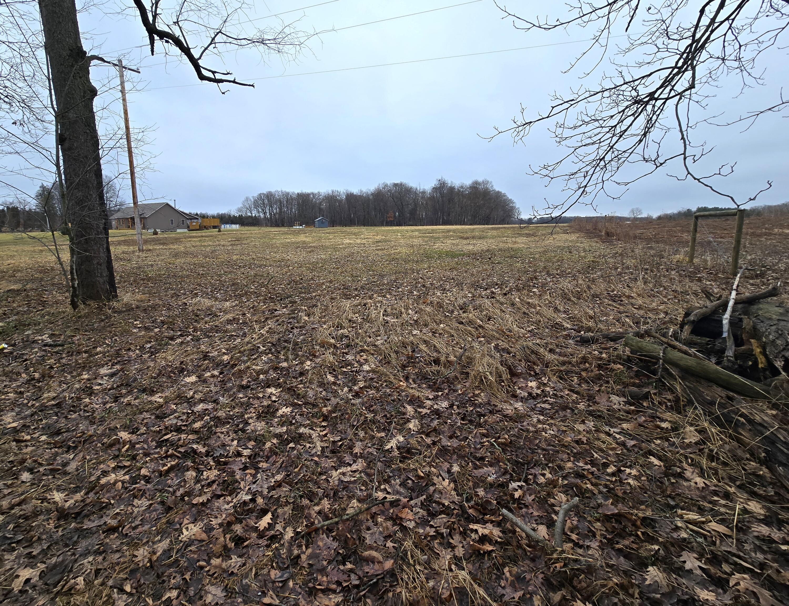 Cedar Creek Road Dowling, MI 49050 - Photo 3 of 4 20260305_164450