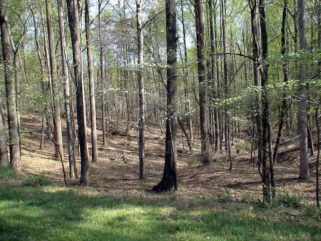 a view of outdoor space with garden