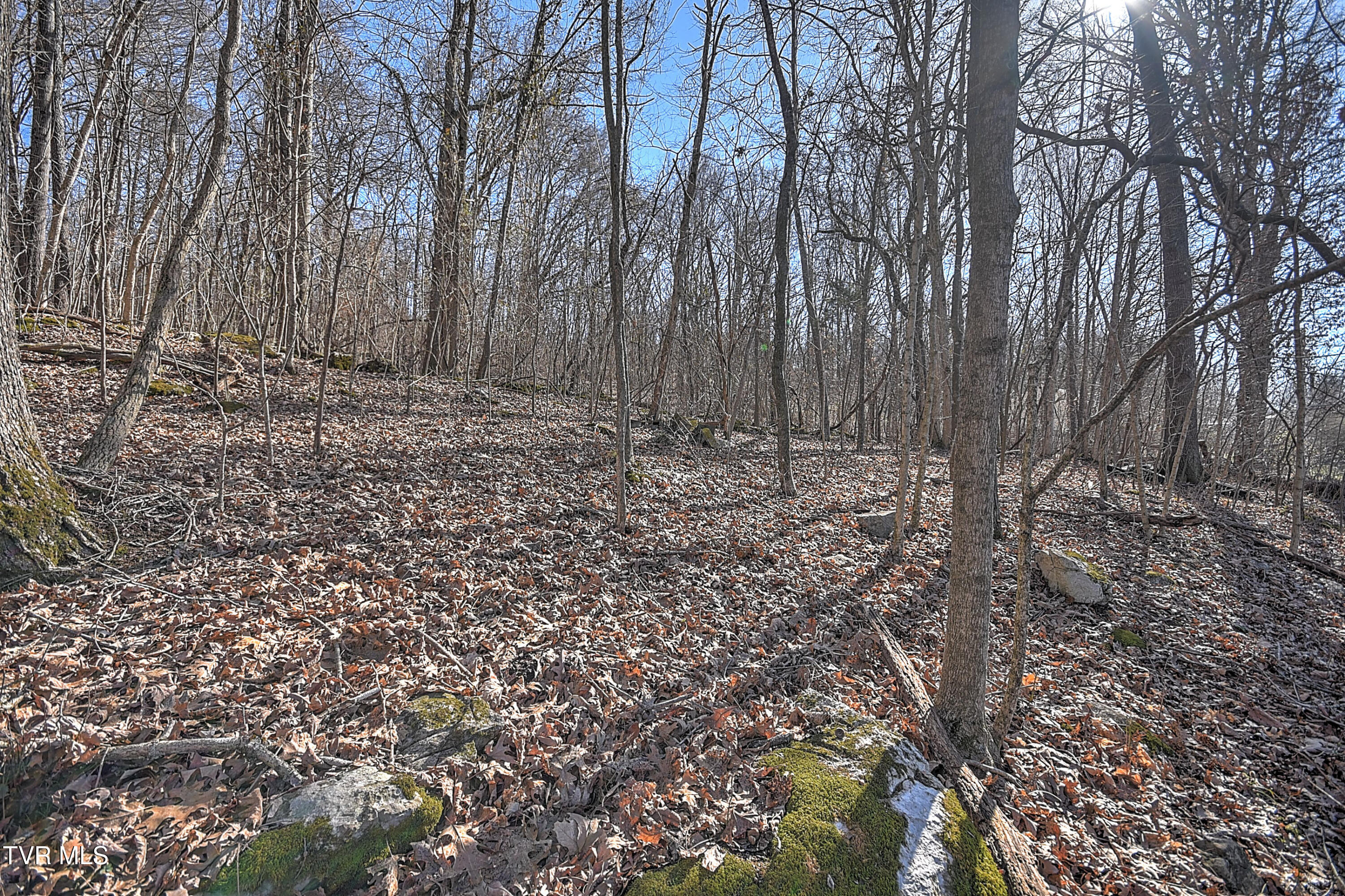 Tbd Beechwood Road Kingsport, TN 37663 - Photo 11 of 22 Beechwood CP-3