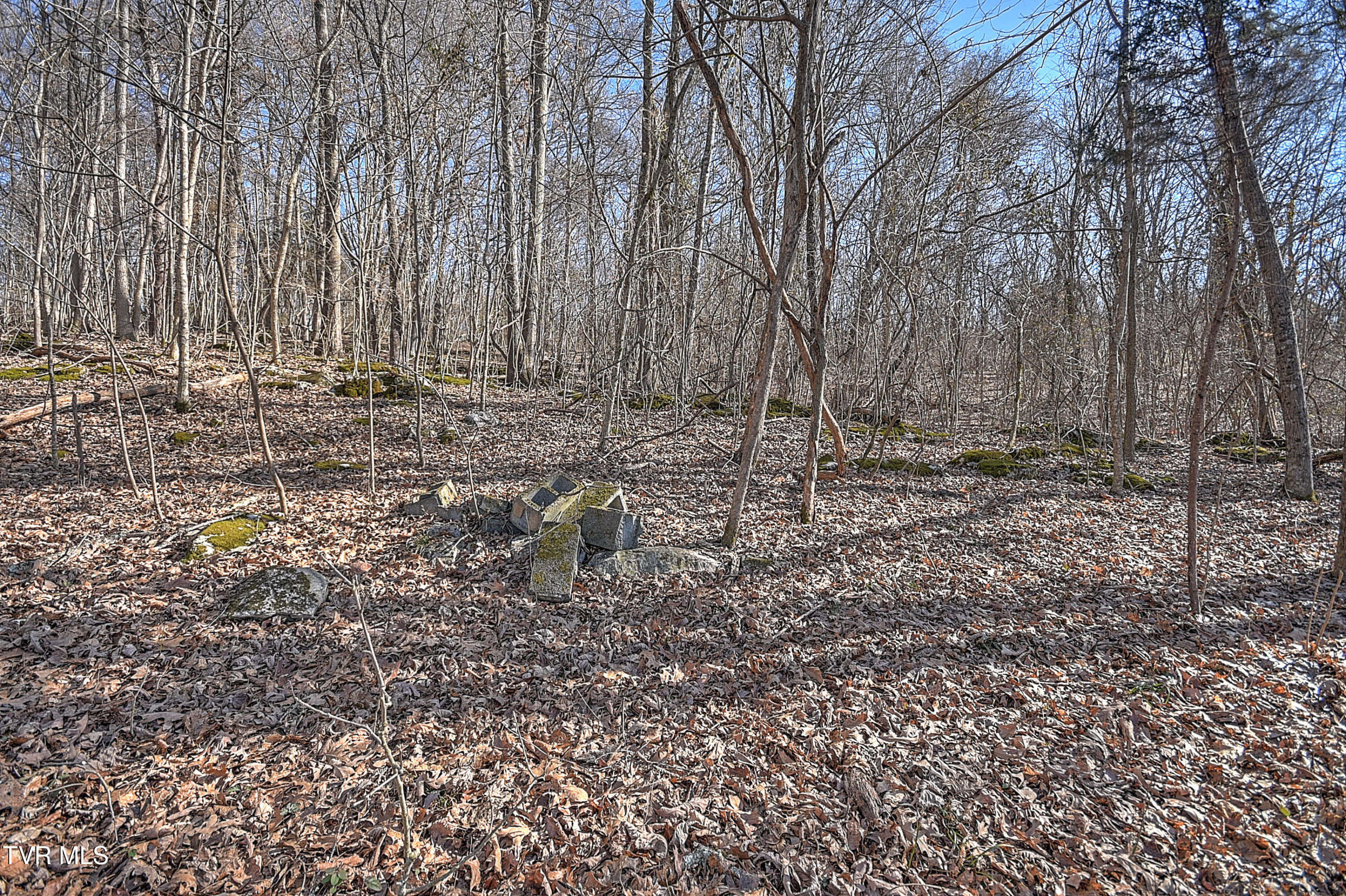 Tbd Beechwood Road Kingsport, TN 37663 - Photo 12 of 22 Beechwood CP-4