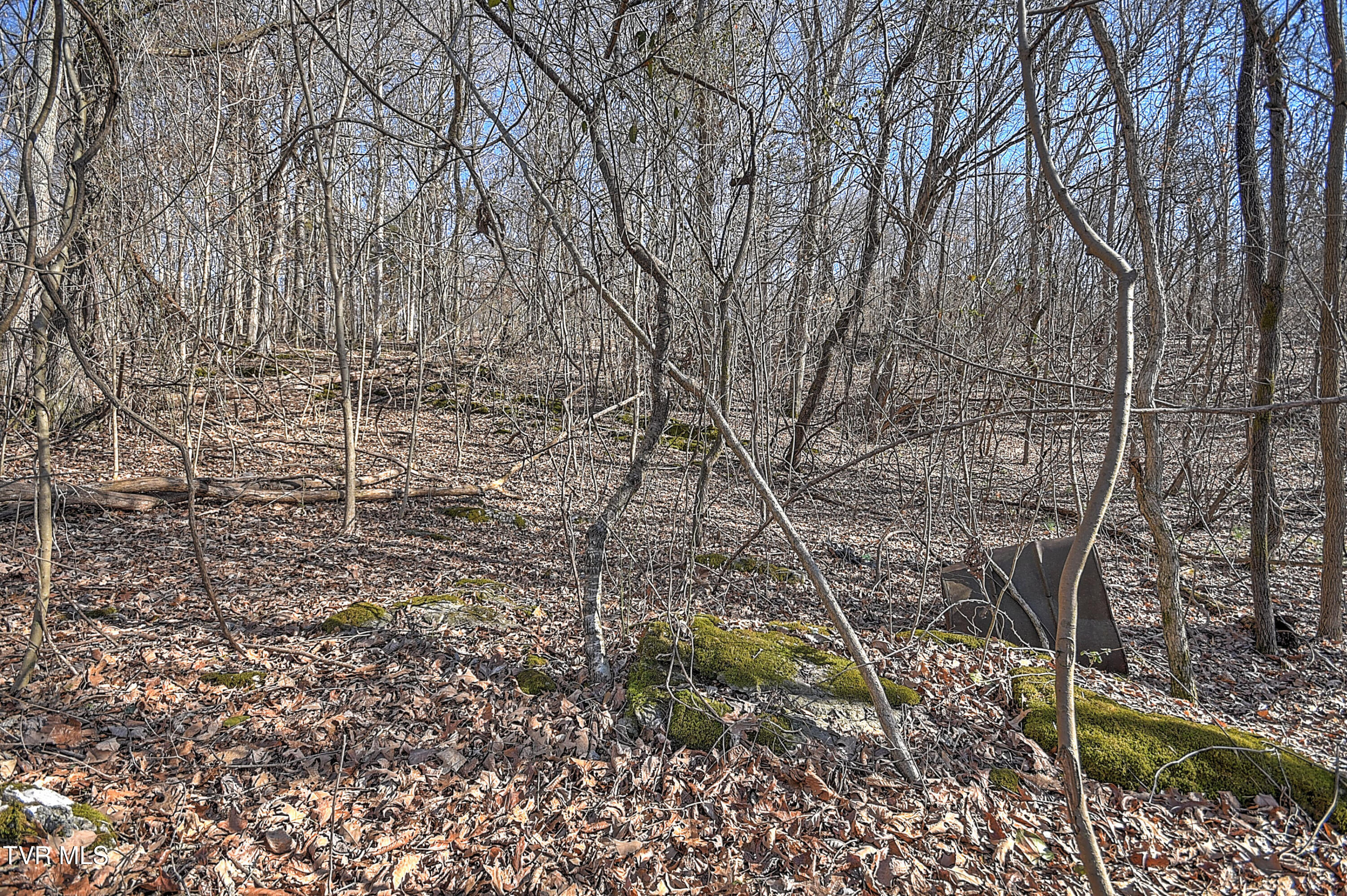 Tbd Beechwood Road Kingsport, TN 37663 - Photo 13 of 22 Beechwood CP-5