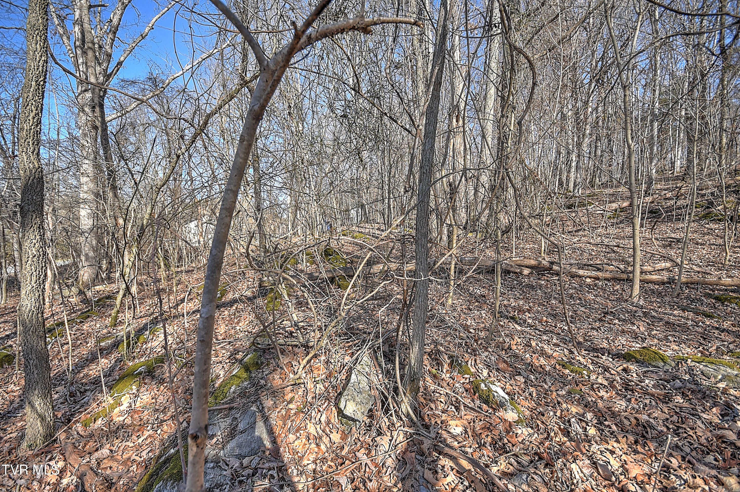 Tbd Beechwood Road Kingsport, TN 37663 - Photo 14 of 22 Beechwood CP-6