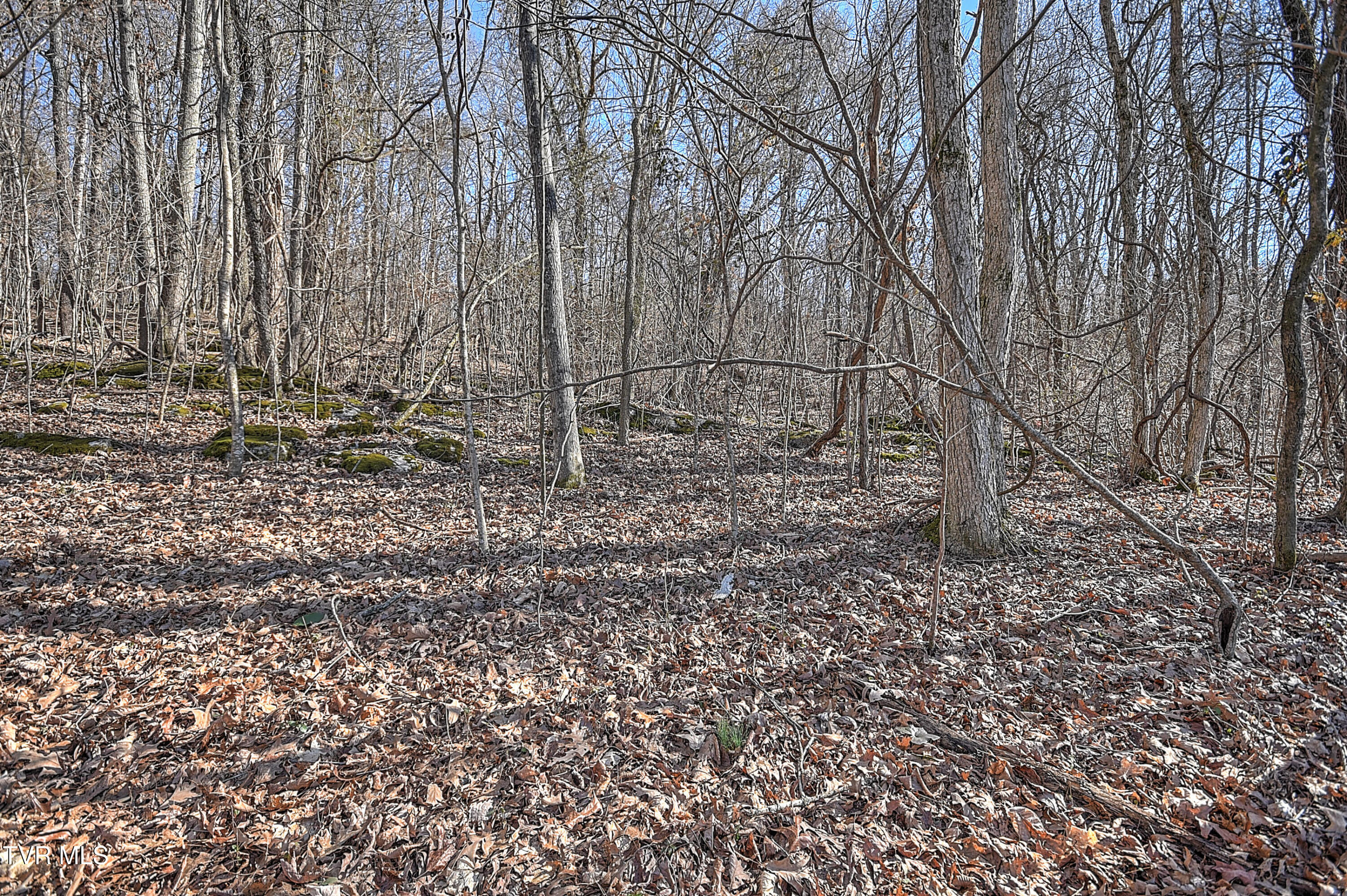 Tbd Beechwood Road Kingsport, TN 37663 - Photo 15 of 22 Beechwood CP-7