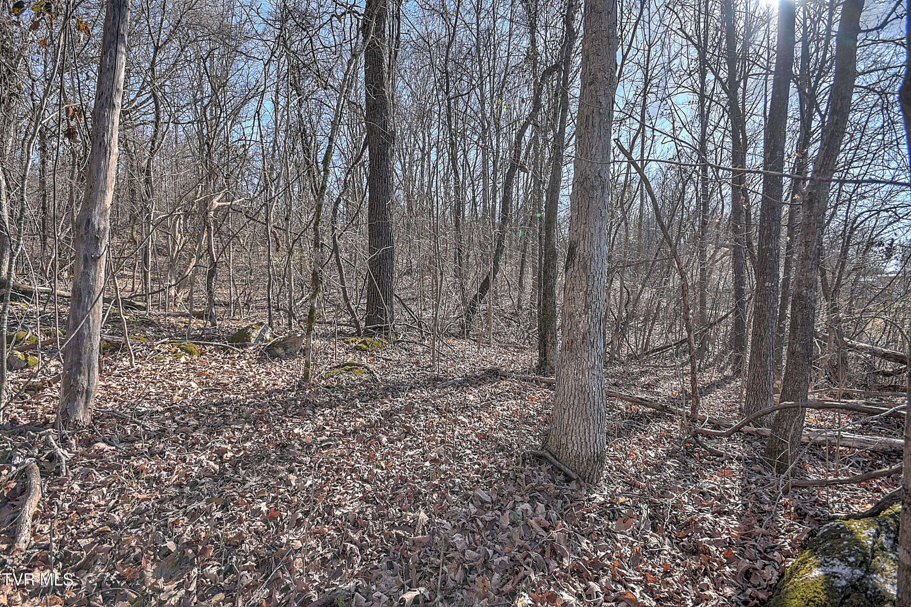 Tbd Beechwood Road Kingsport, TN 37663 - Photo 16 of 22 Beechwood CP-8