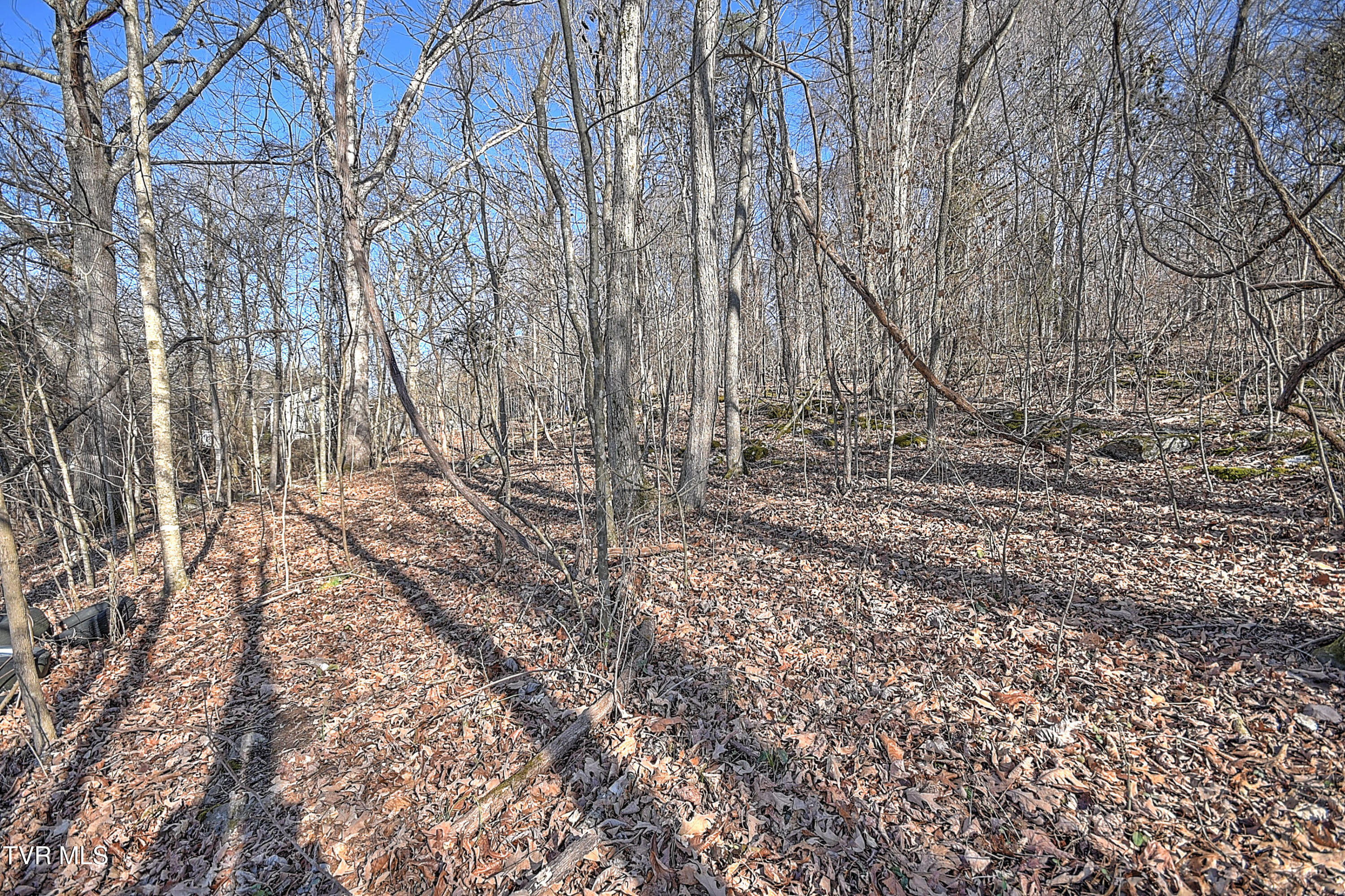 Tbd Beechwood Road Kingsport, TN 37663 - Photo 17 of 22 Beechwood CP-9