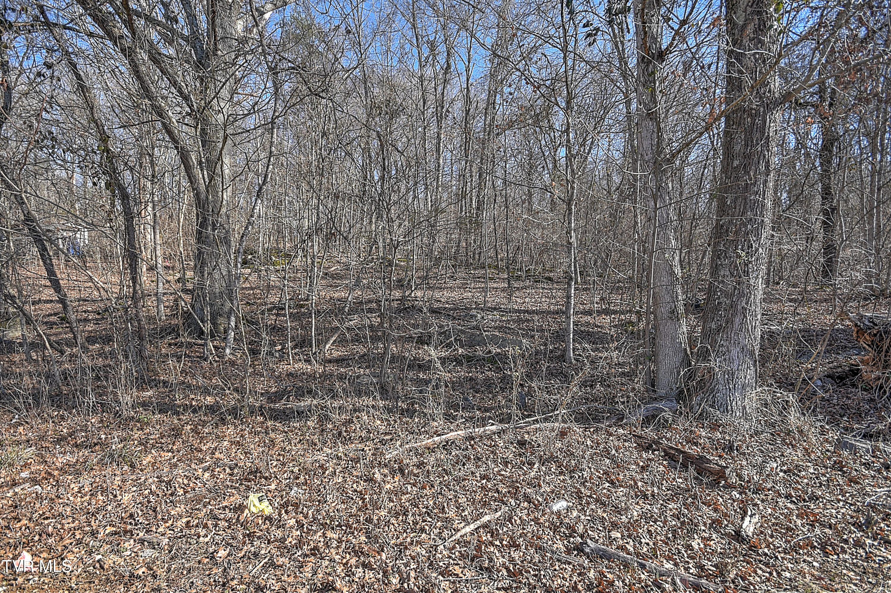 Tbd Beechwood Road Kingsport, TN 37663 - Photo 19 of 22 Beechwood CP-11