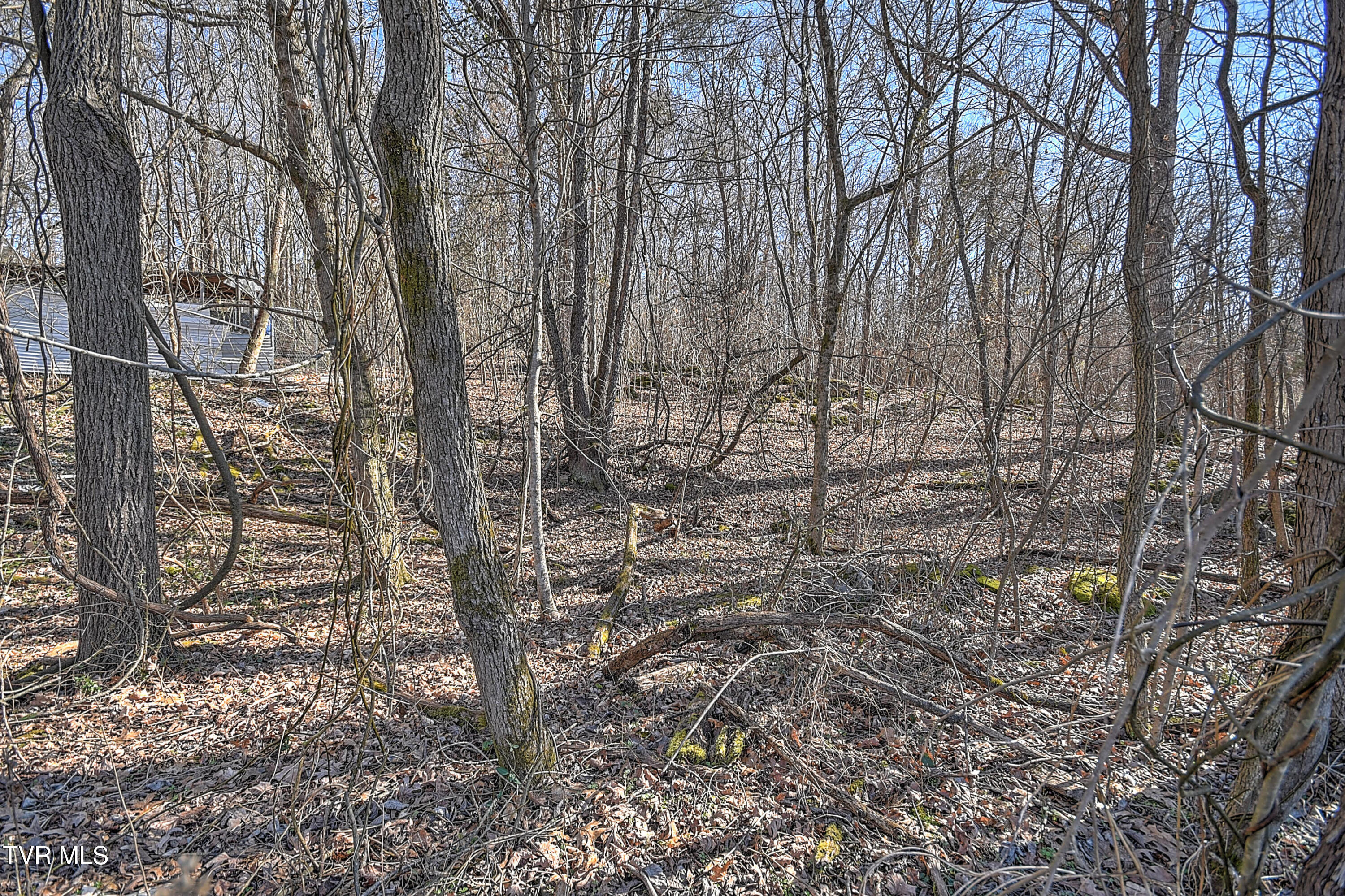 Tbd Beechwood Road Kingsport, TN 37663 - Photo 21 of 22 Beechwood CP