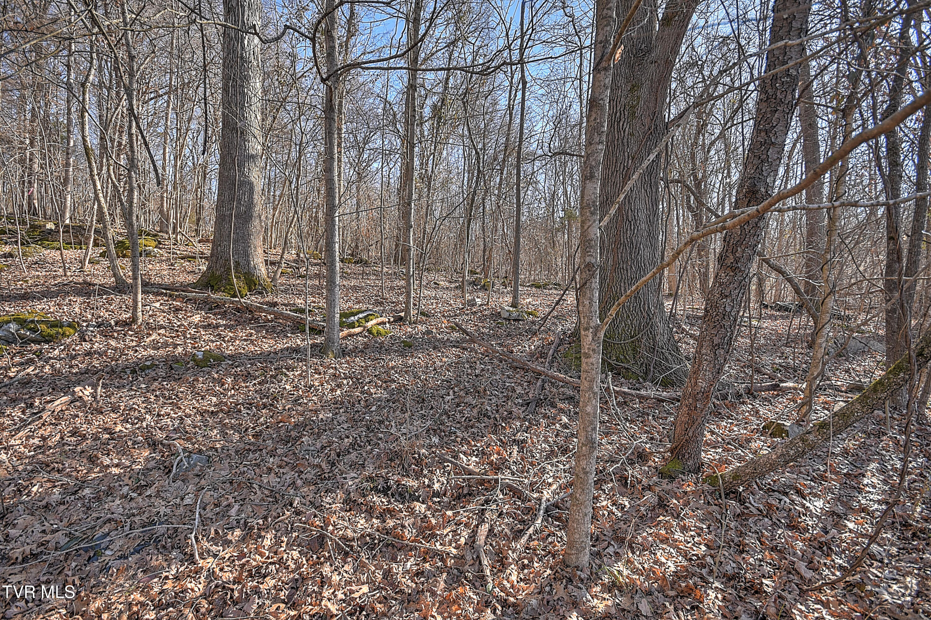 Tbd Beechwood Road Kingsport, TN 37663 - Photo 10 of 22 Beechwood CP-2