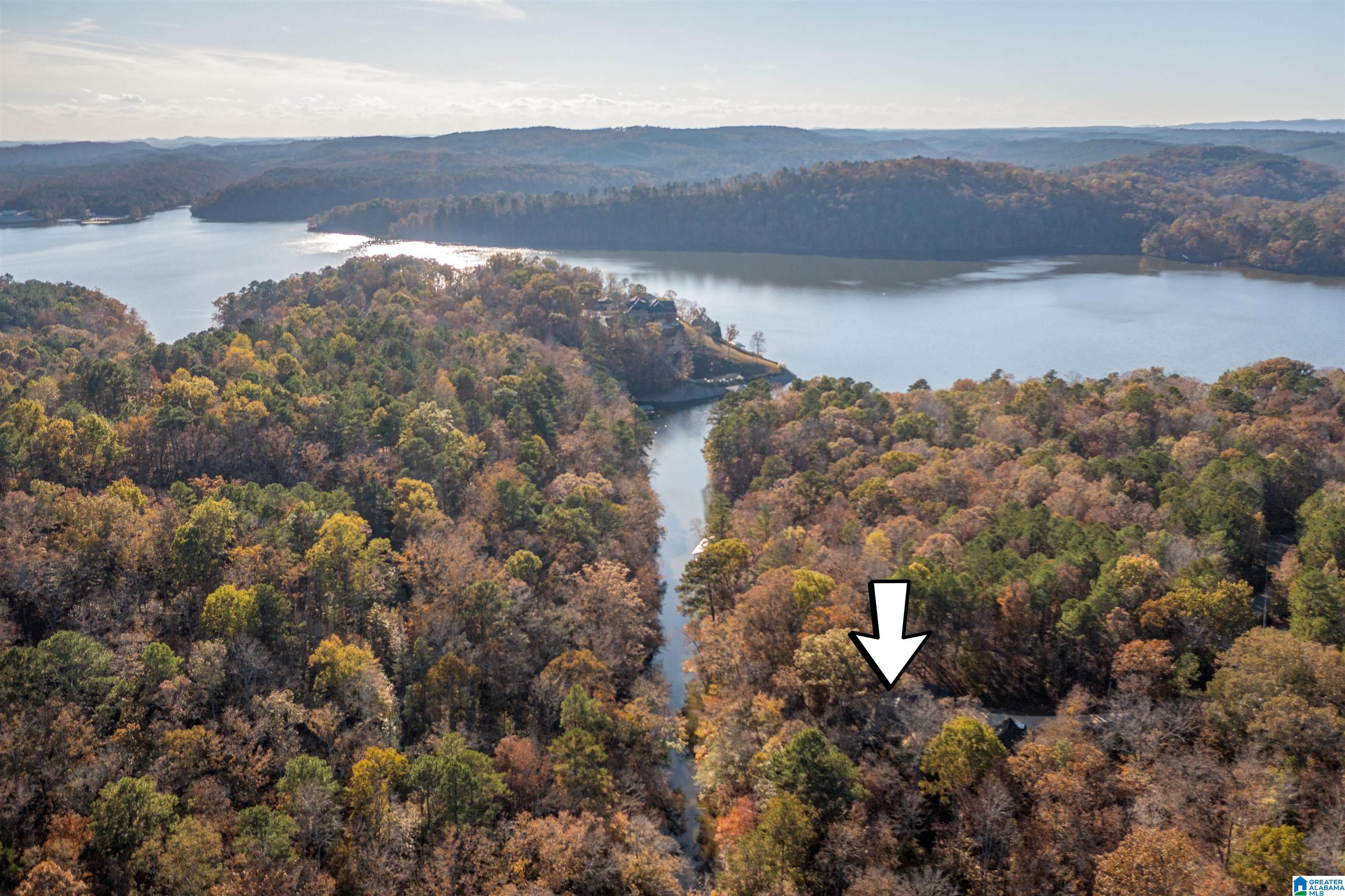 1595 Mohawk Cliff Road Ohatchee, AL 36271 - Photo 50 of 65
