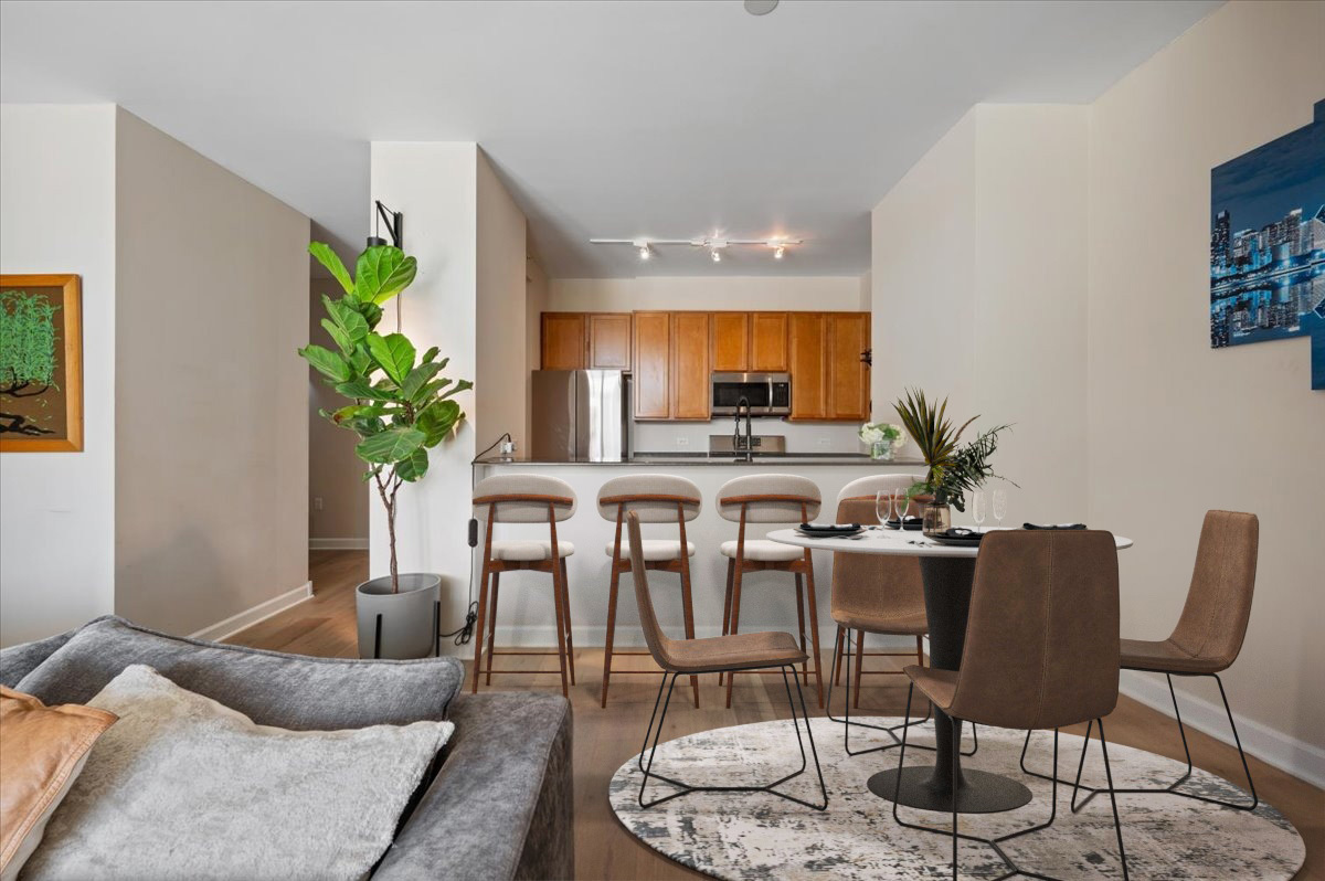 233 East 13th Street, Unit 508 Chicago, IL 60605 - Photo 6 of 27