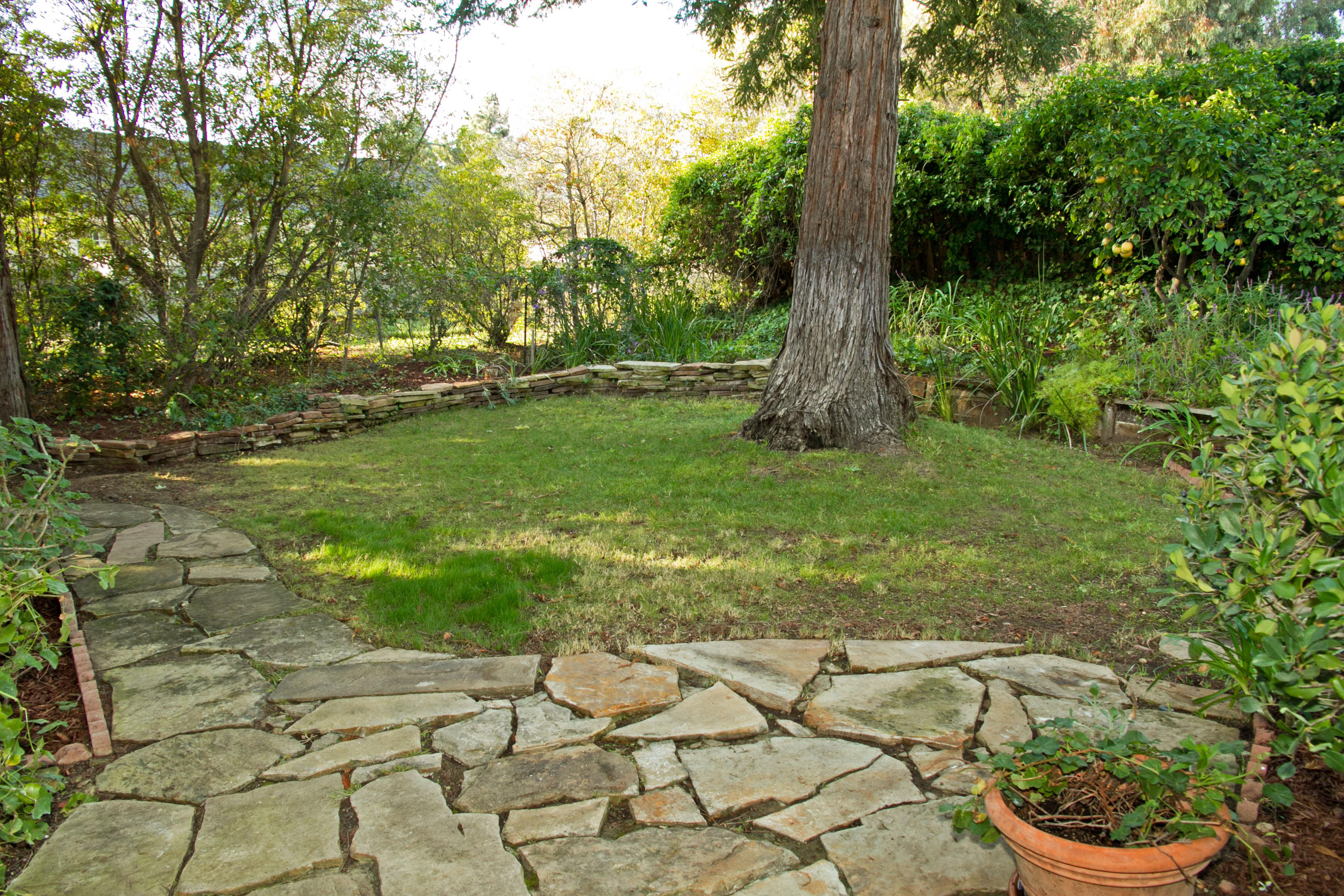 674 Wakefield Road Goleta, CA 93117 - Photo 16 of 17 Backyard 2