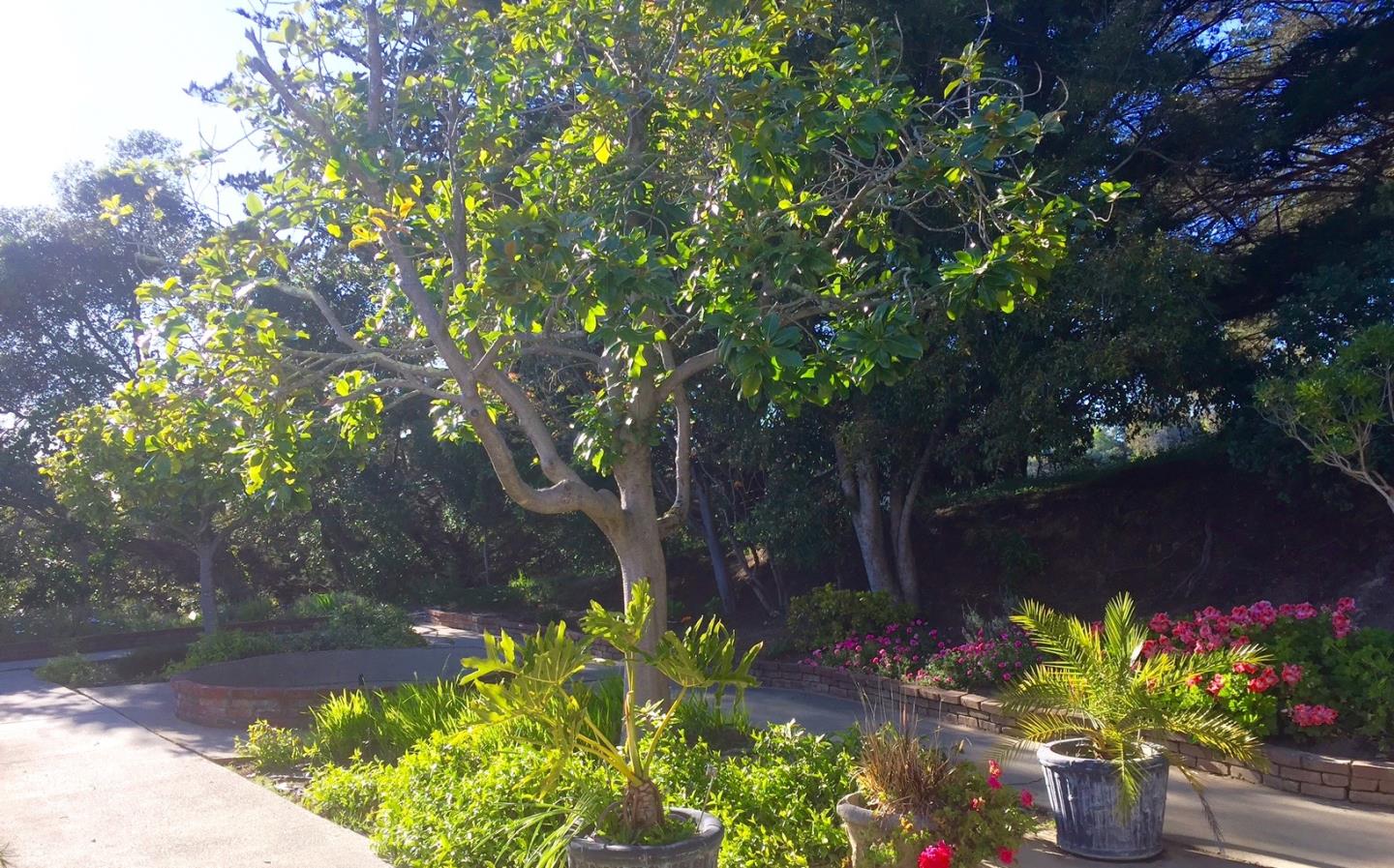 800 Hidden Valley Road Soquel, CA 95073 - Photo 7 of 8 Gallery Image 7
