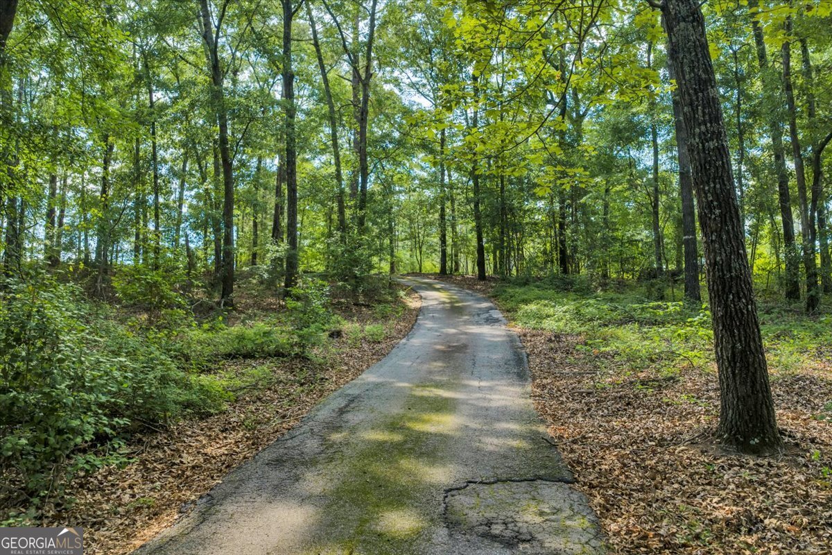 3826 Boy Scout Road Byron, GA 31008 - Photo 47 of 53