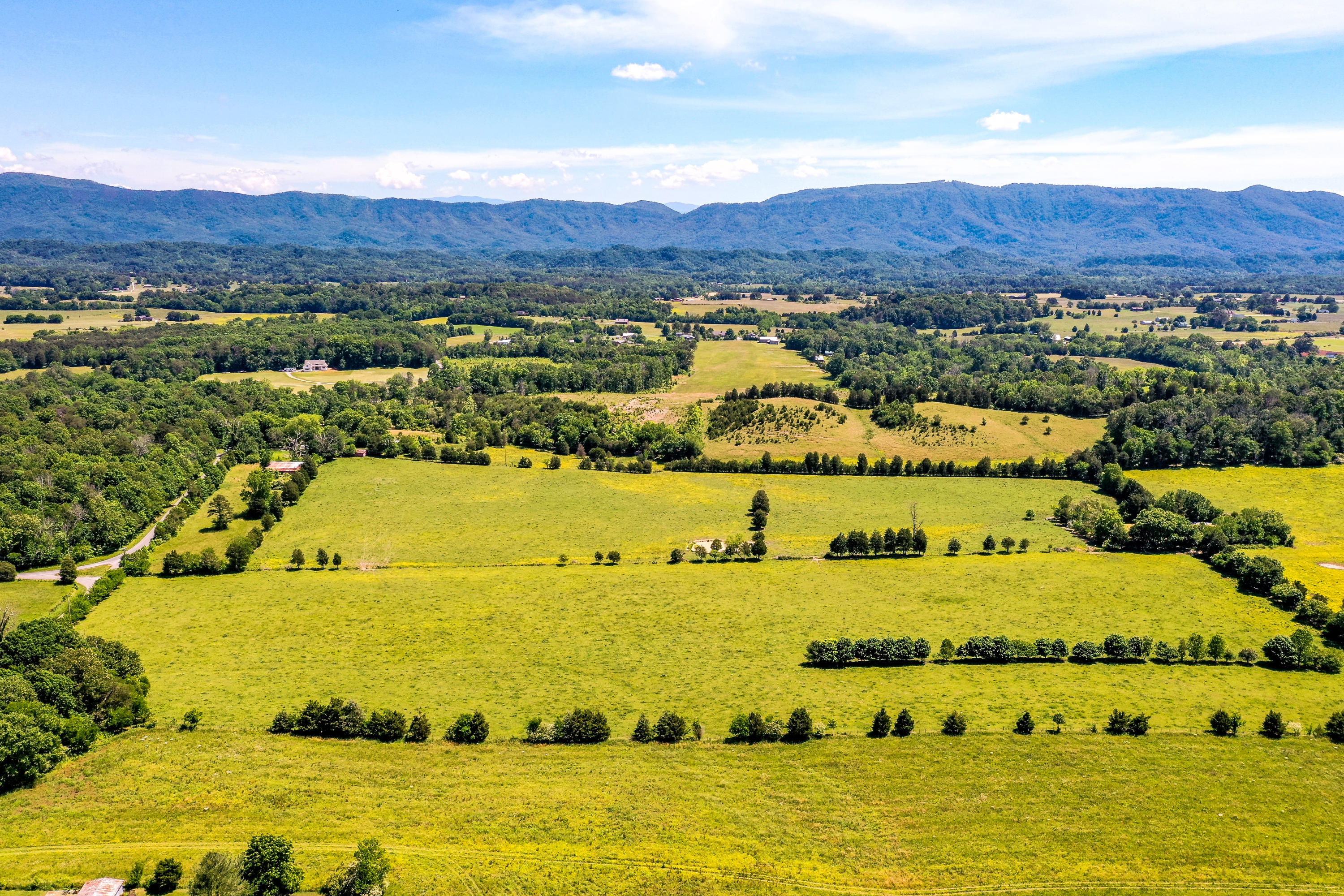 1 Keener Road Seymour, TN 37865 - Photo 1 of 20 DJI_0718