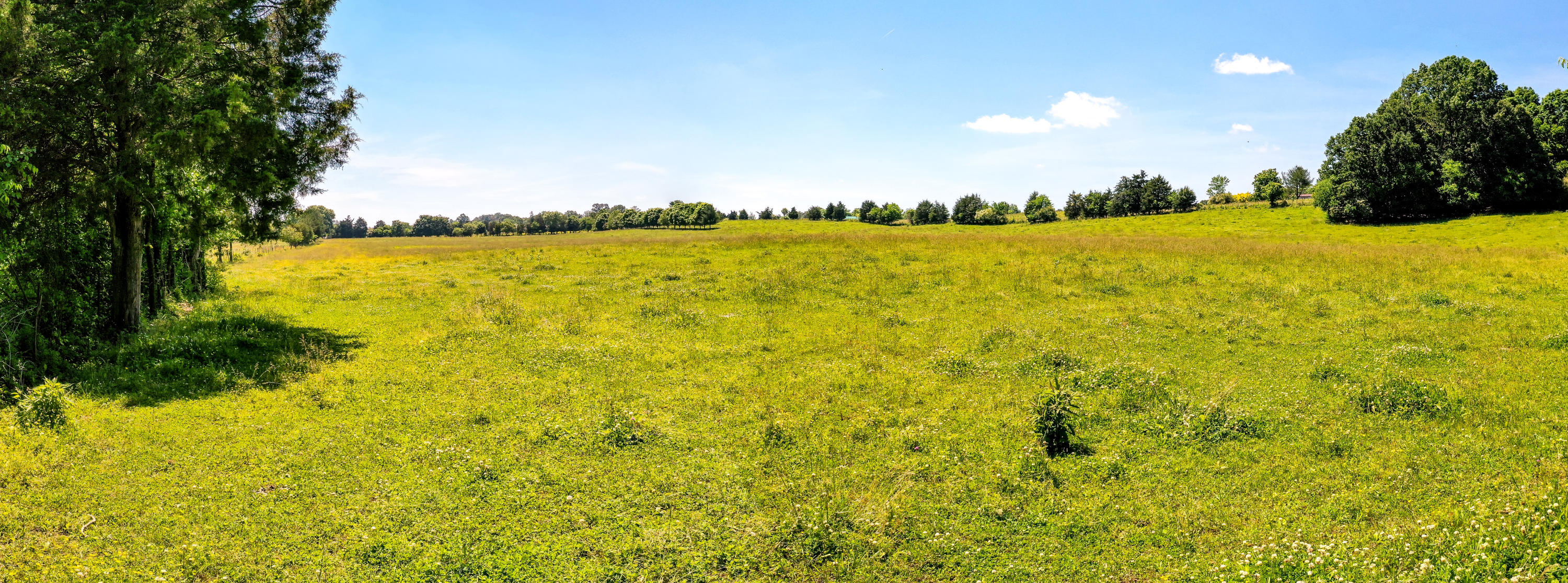 1 Keener Road Seymour, TN 37865 - Photo 16 of 20 DJI_0722-Pano