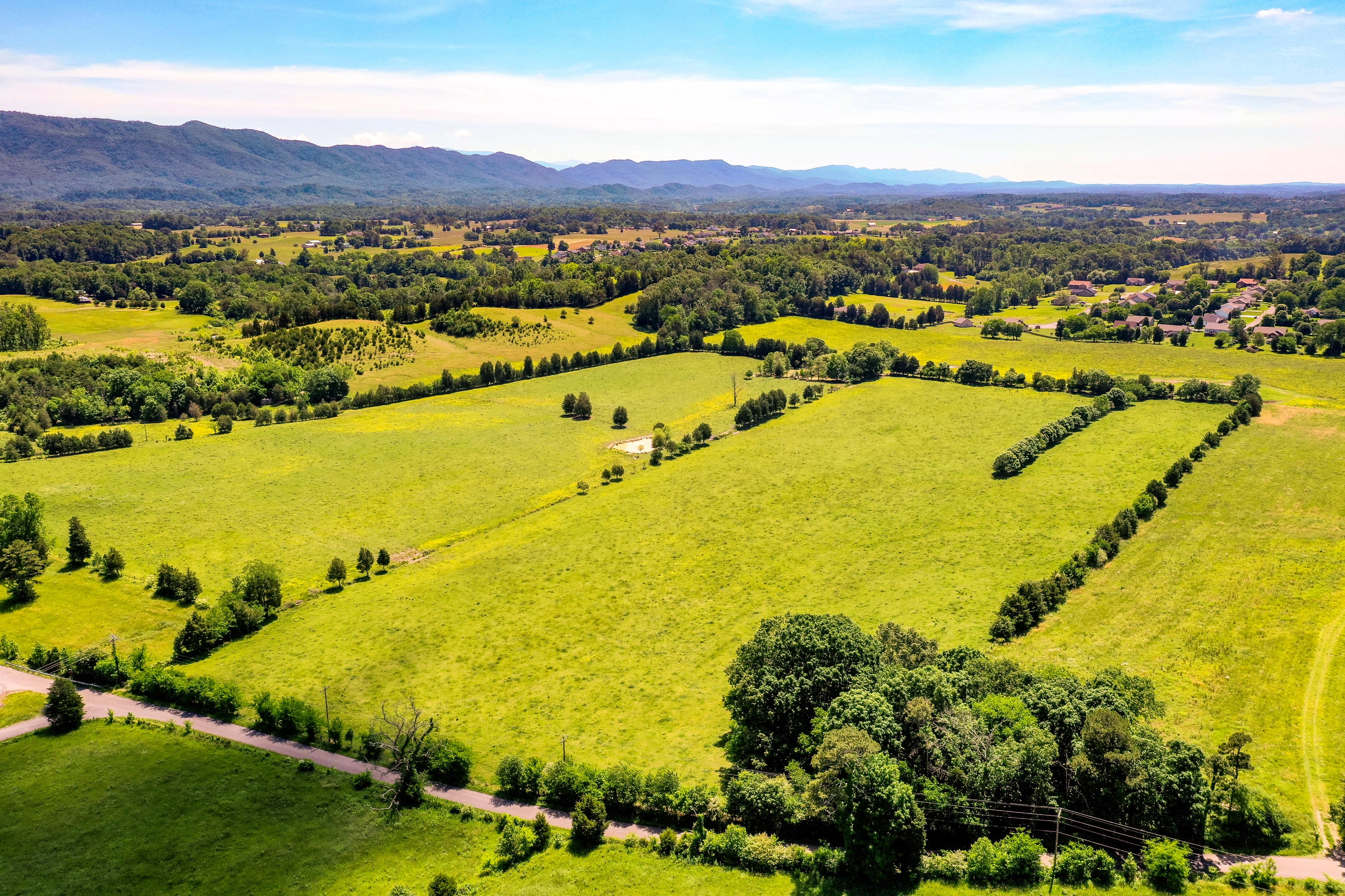 1 Keener Road Seymour, TN 37865 - Photo 6 of 20 DJI_0714
