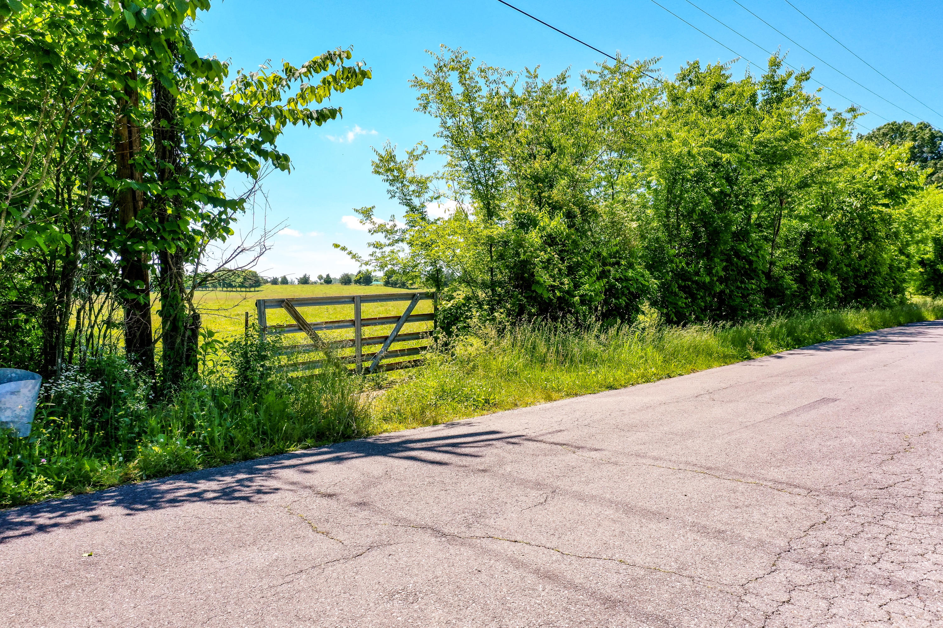 1 Keener Road Seymour, TN 37865 - Photo 9 of 20 DJI_0709