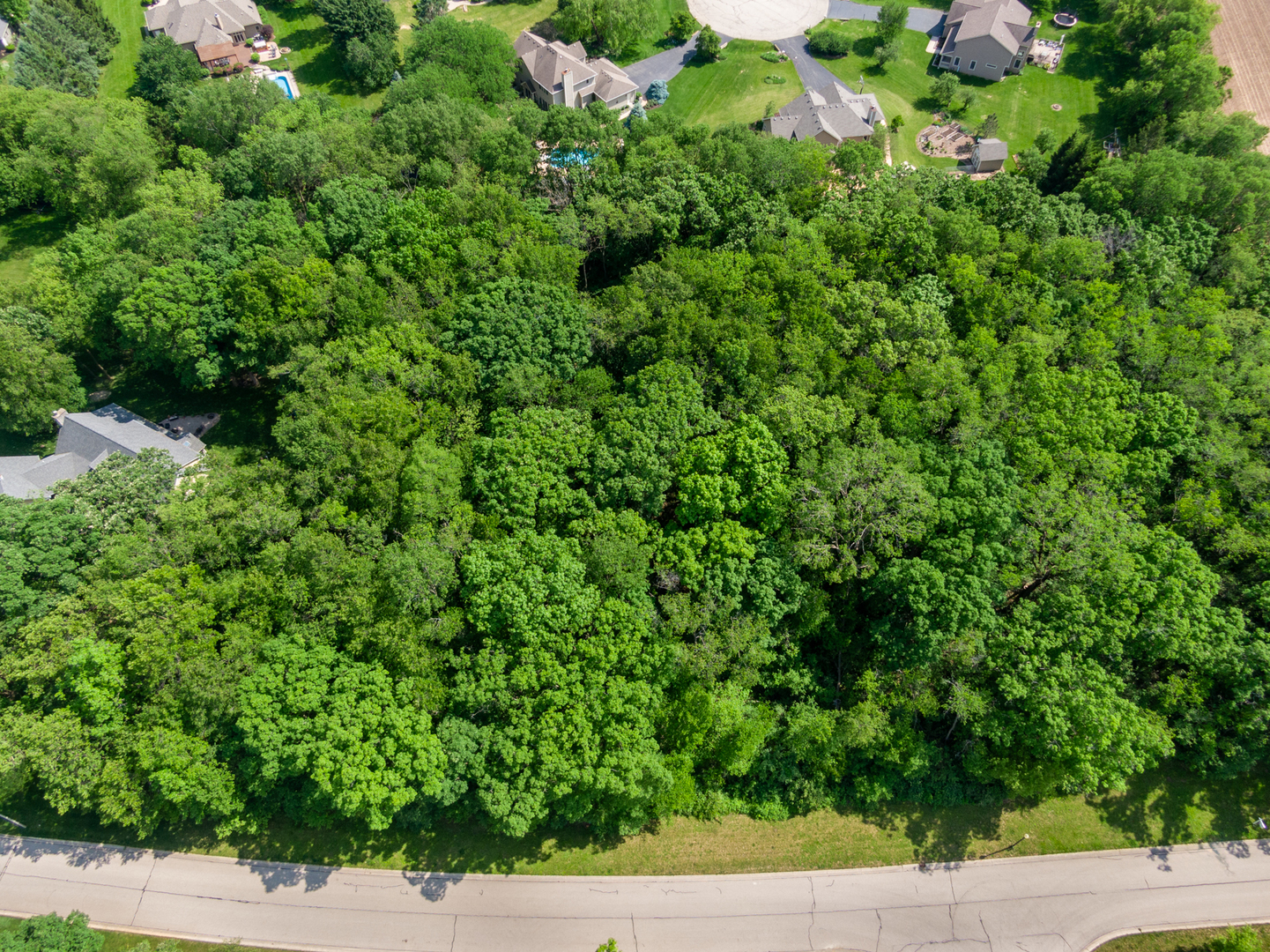 a view of a yard