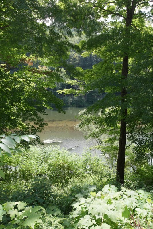 29 Glendale Road Stockbridge, MA 01262 - Photo 20 of 23 a view of a garden with a lake