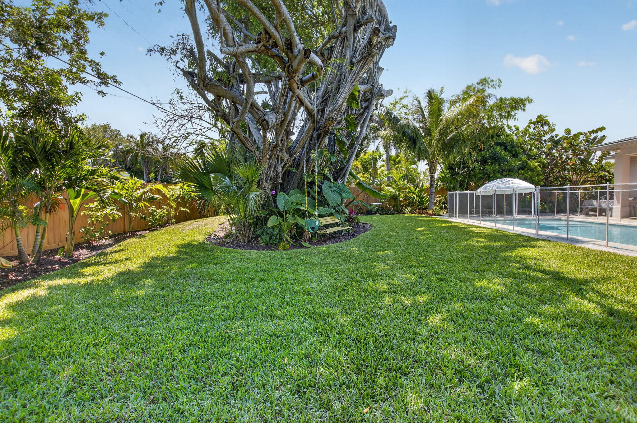 264 Northwest 45th Street Boca Raton, FL 33431 - Photo 49 of 63 Magnificient Banyan Tree