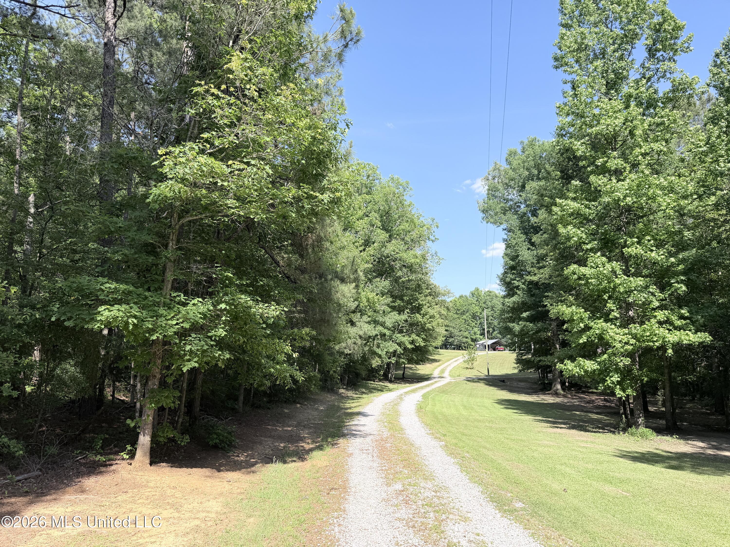394 Risher Road Carthage, MS 39051 - Photo 4 of 18 IMG_4143