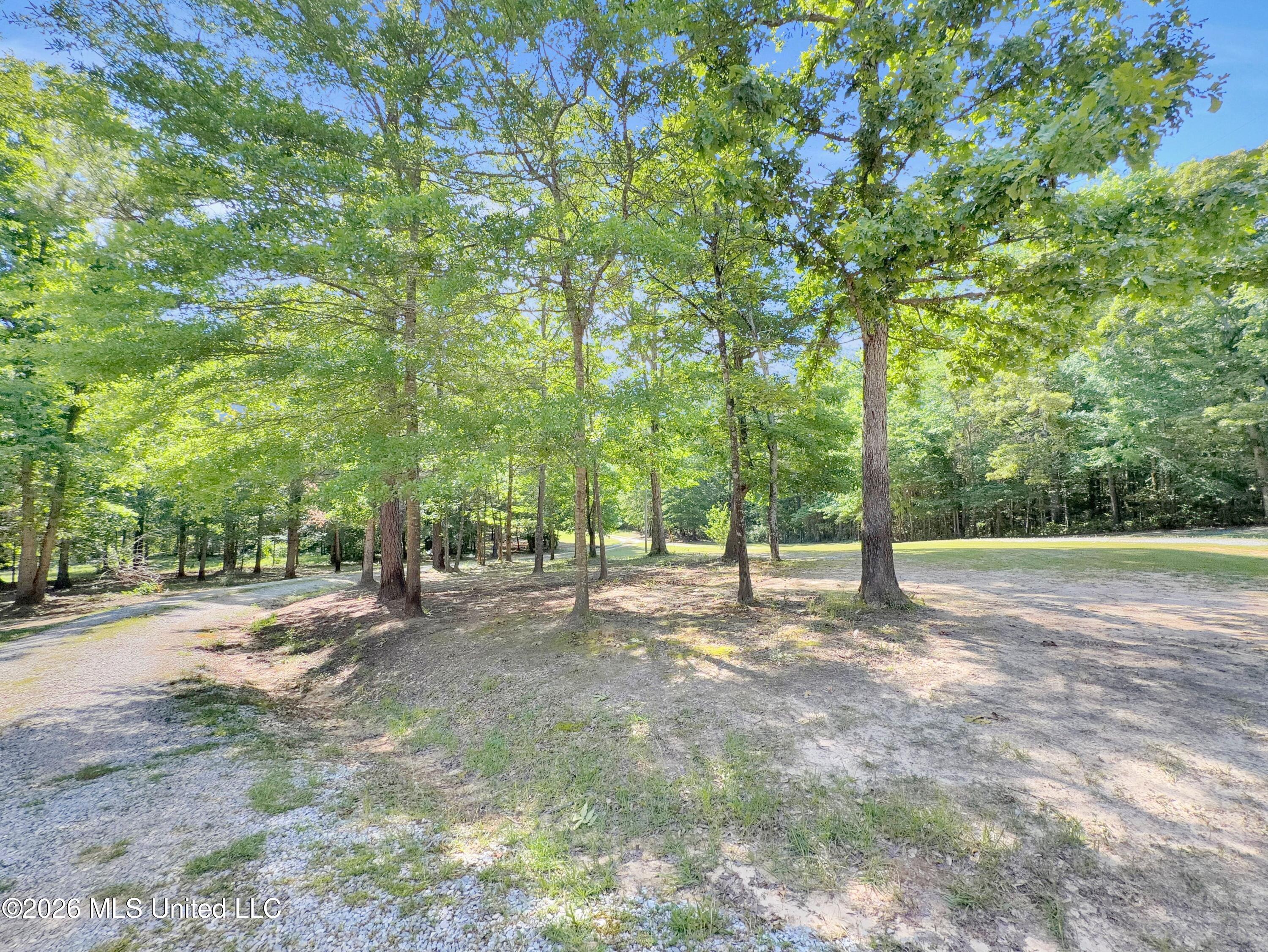 394 Risher Road Carthage, MS 39051 - Photo 9 of 18 be8e4890-4539-435b-9132-f4201c7a779e