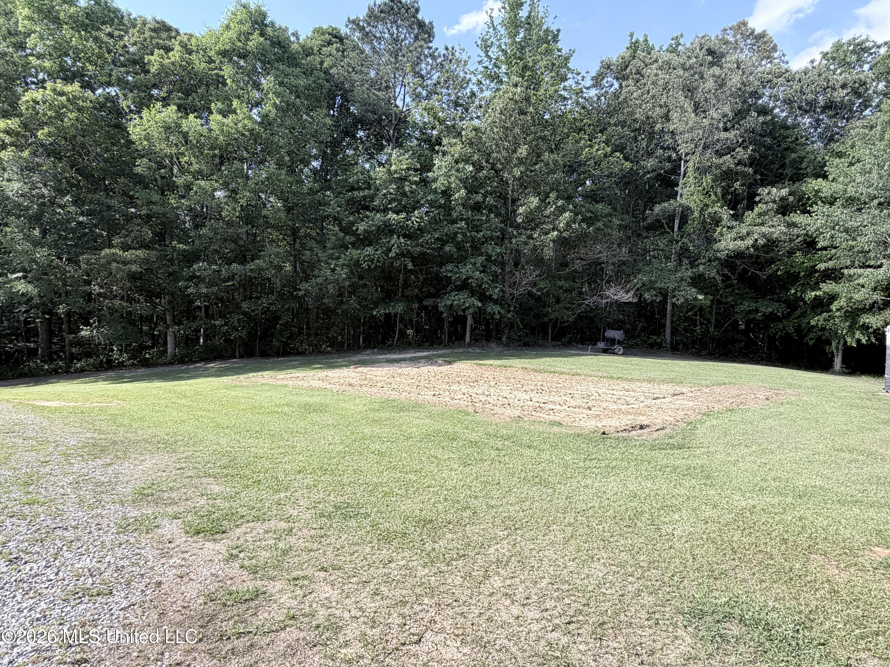 394 Risher Road Carthage, MS 39051 - Photo 10 of 18 IMG_4173