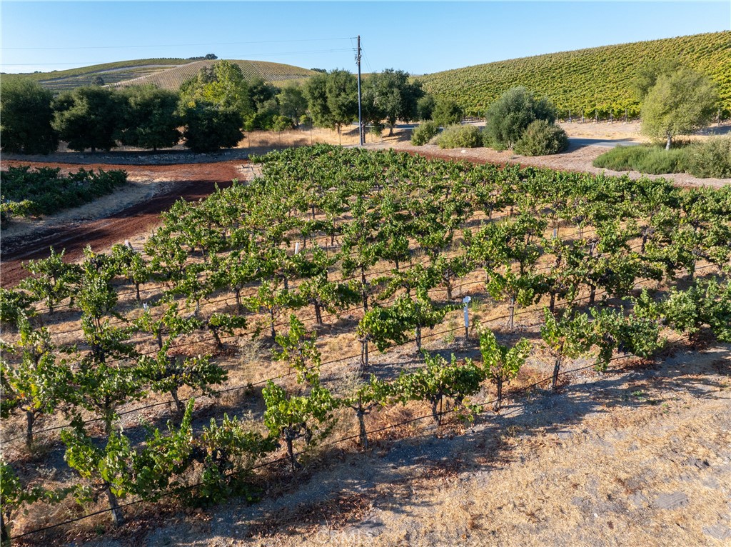 2925 Anderson Road Paso Robles, CA 93446 - Photo 23 of 69 Gallery Image 23