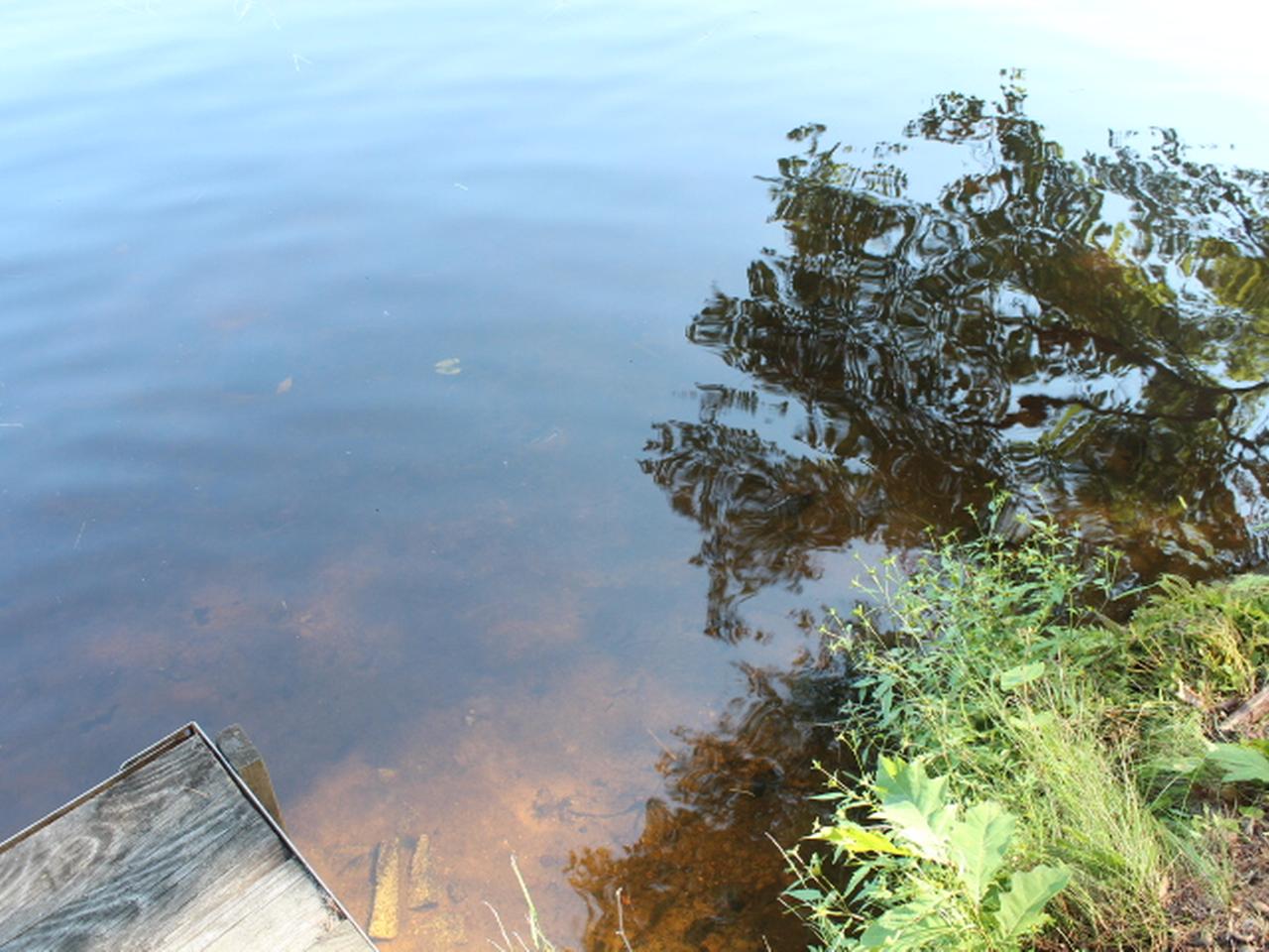 7774 Braeger Road Three Lakes, WI 54562 - Photo 2 of 8 Gallery Image 2