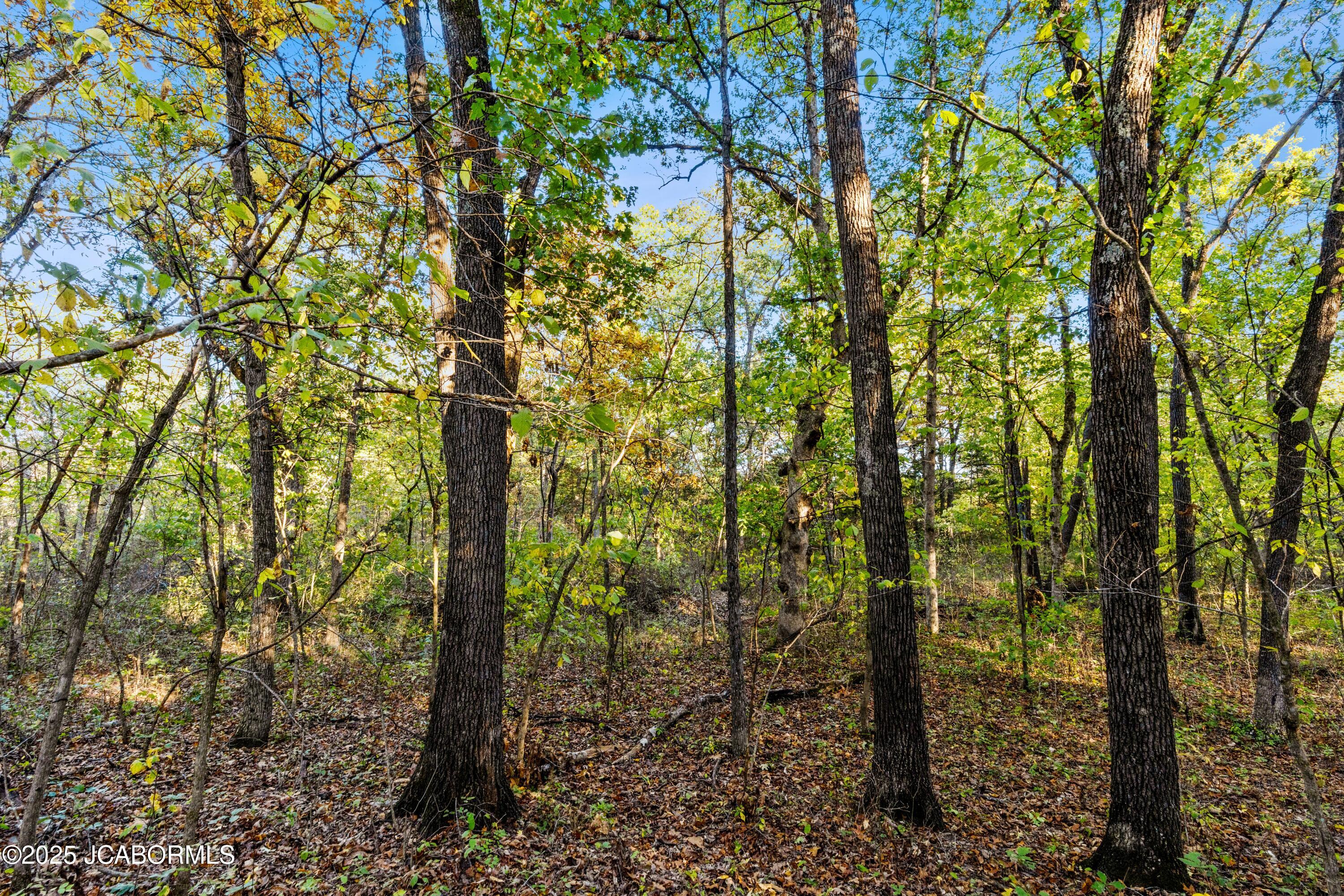0 Callaway County Road Auxvasse, MO 65231 - Photo 8 of 16