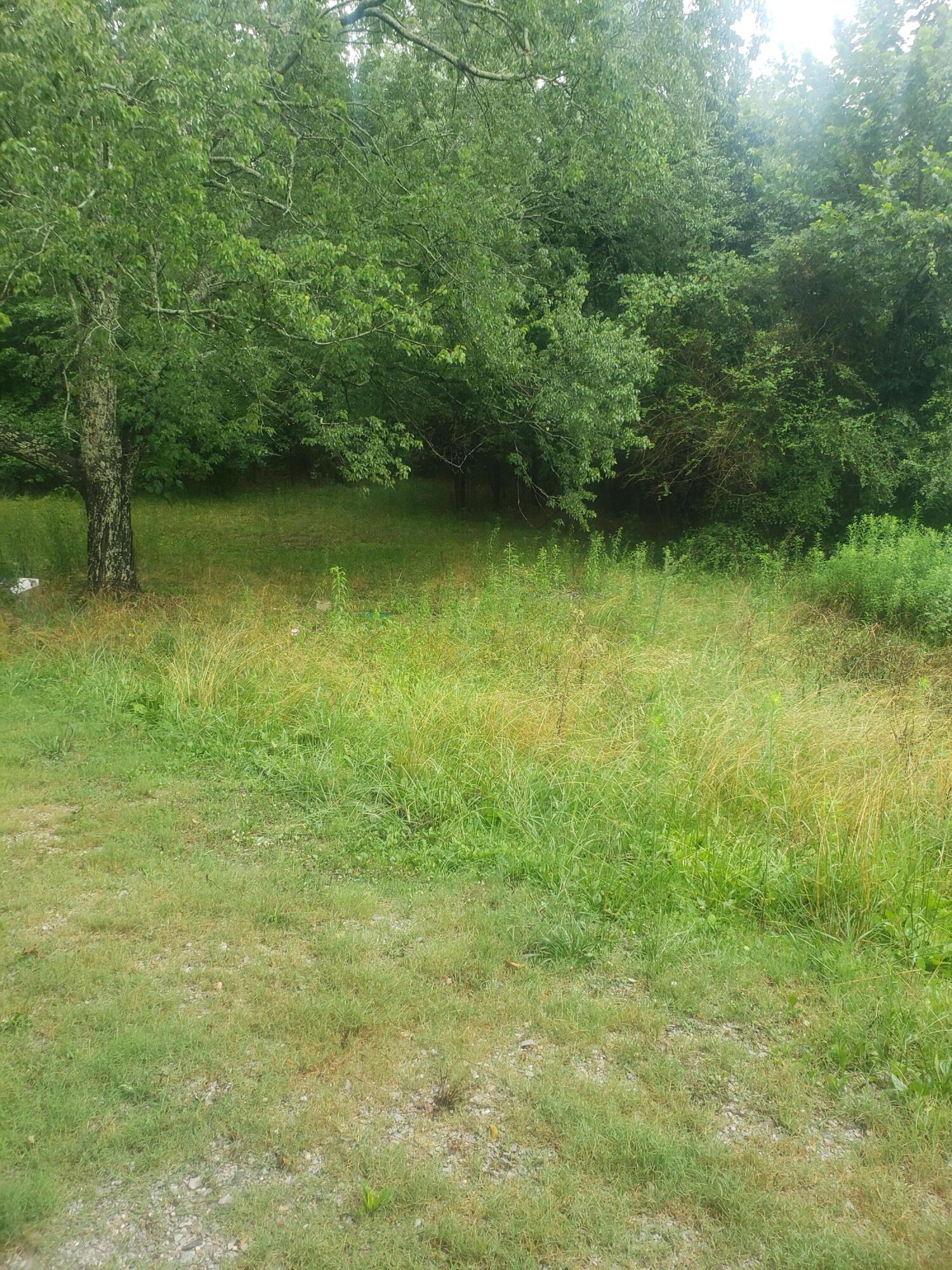137 Bronco Road LaFayette, GA 30728 - Photo 7 of 29 20220703_150106