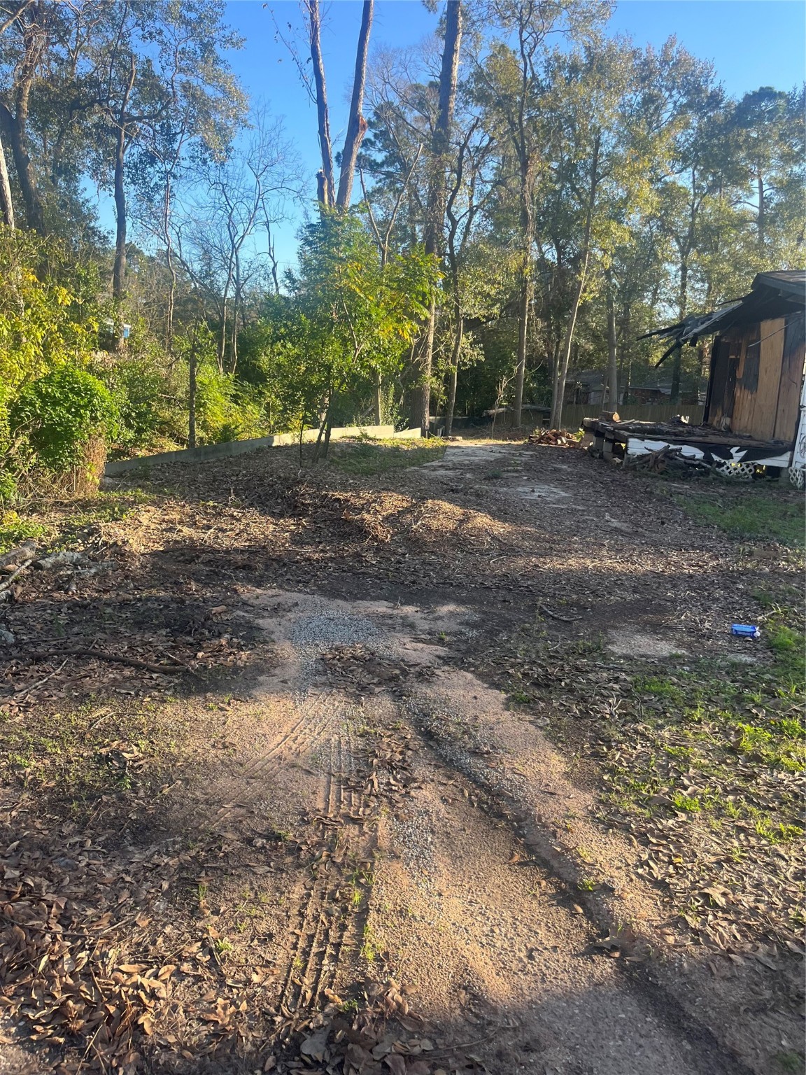 a view of road with large trees