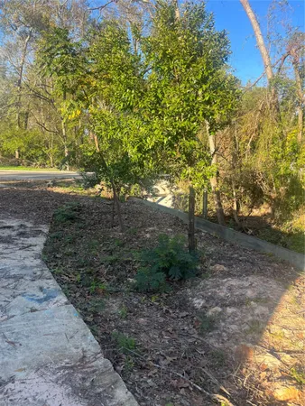 a view of a yard with plants and trees
