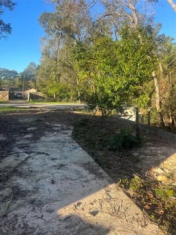 a view of a yard with plants and trees