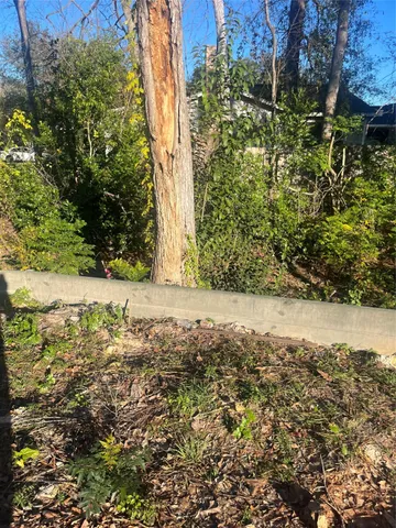 a view of yard covered with green space