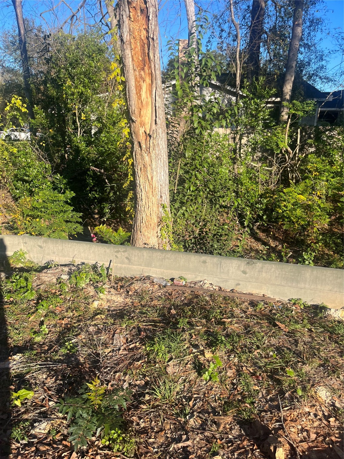 409 Wagers Street Conroe, TX 77301 - Photo 13 of 21 a view of yard covered with green space