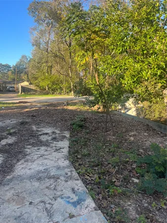 a view of yard with green space