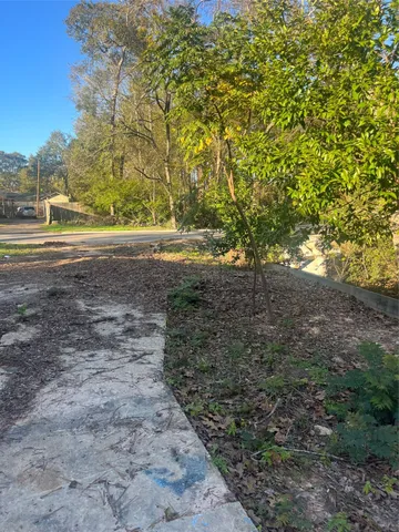 a view of yard with green space