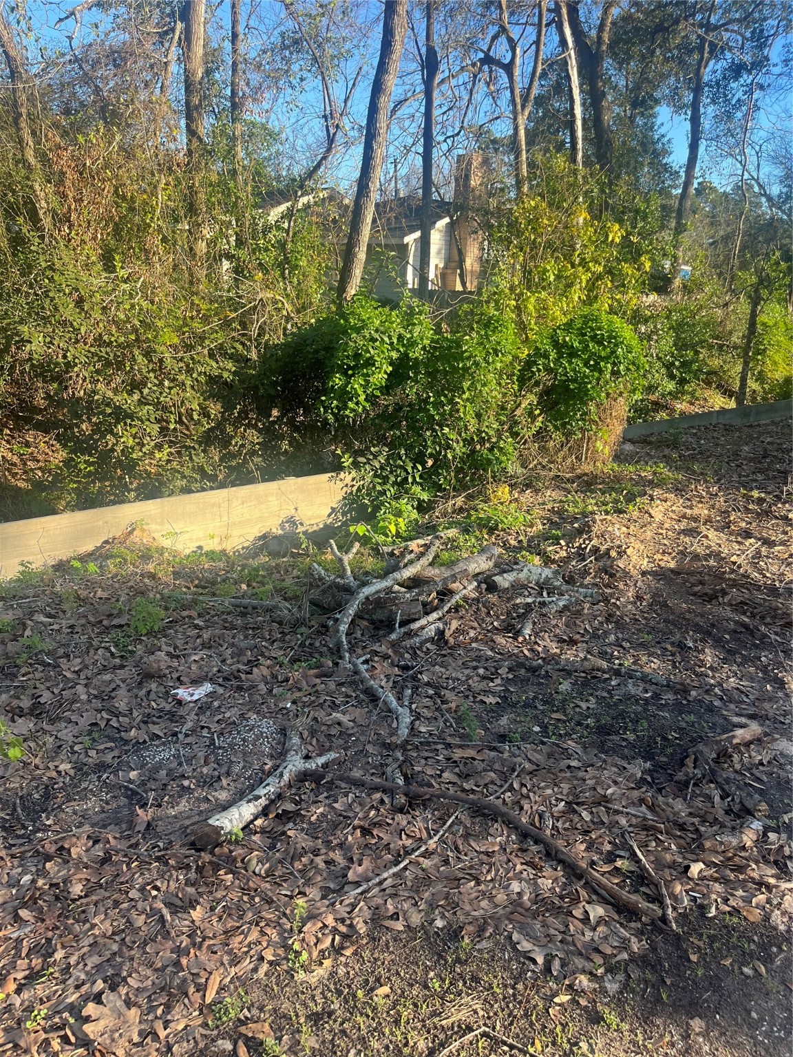 409 Wagers Street Conroe, TX 77301 - Photo 2 of 21 a view of a yard with plants and large trees