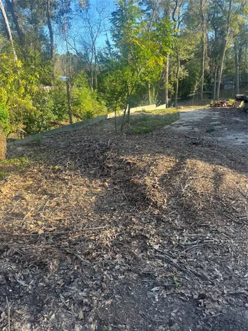 a view of a yard with plants and trees