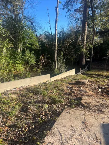a view of a yard with trees