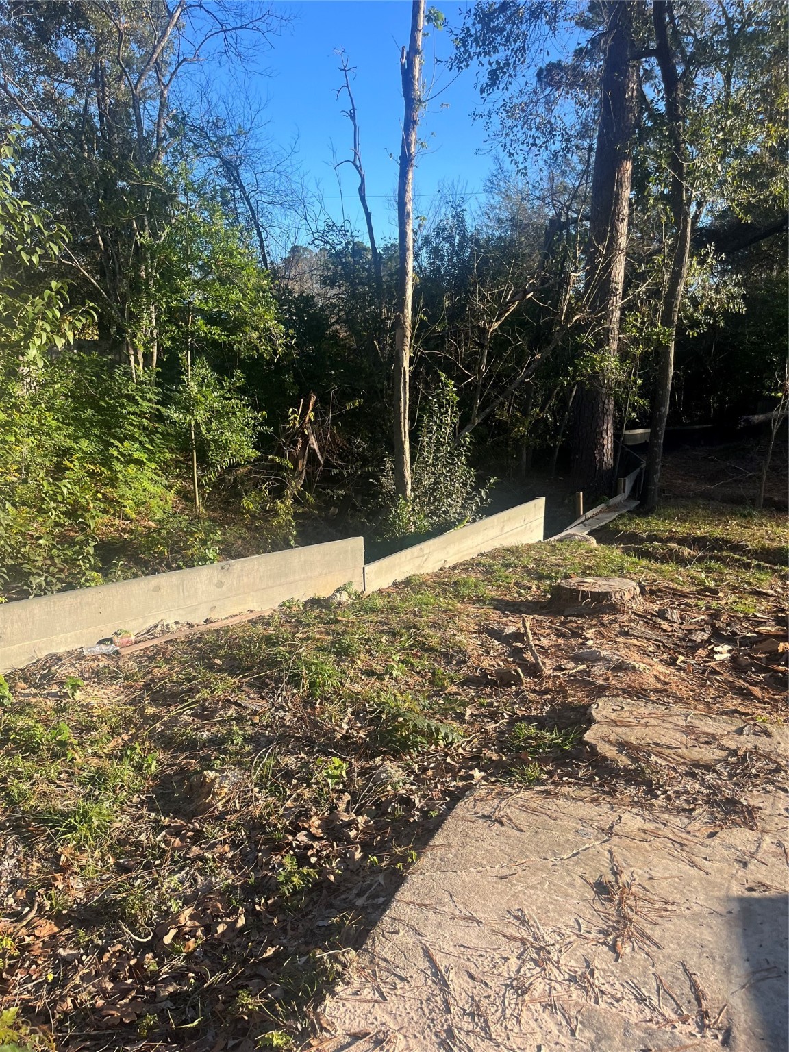 409 Wagers Street Conroe, TX 77301 - Photo 7 of 21 a view of a yard with trees