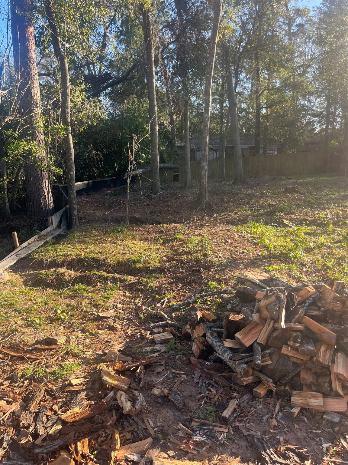 409 Wagers Street Conroe, TX 77301 - Photo 9 of 21 a view of a backyard