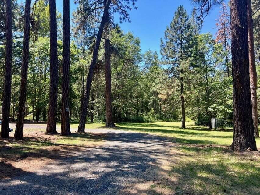 1833 Stringer Gap Road Grants Pass, OR 97527 - Photo 2 of 23 20240621221833585856000000-o